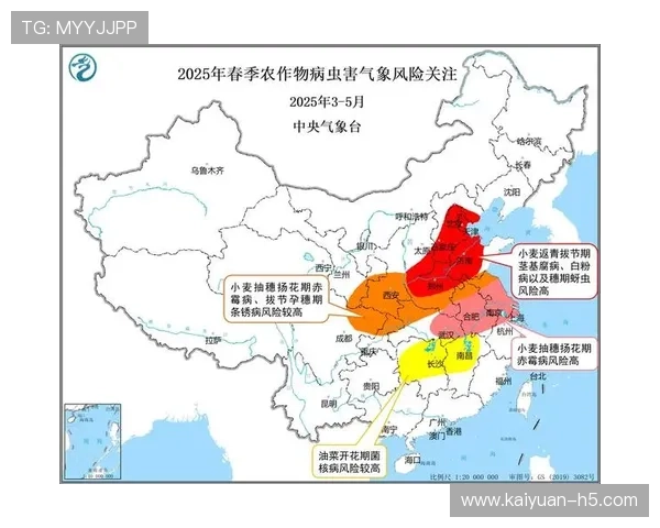 中国气象频道全力打造智能气象服务 助力精准预报与灾害应对
